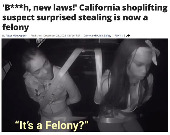 加州三女子零元购被捕后懵了 警车内爆笑对话(组图)