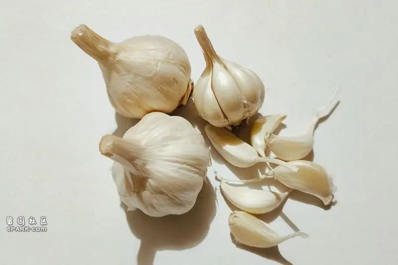 别用塑料袋包装 这样保存大蒜能延长效期风味(图)