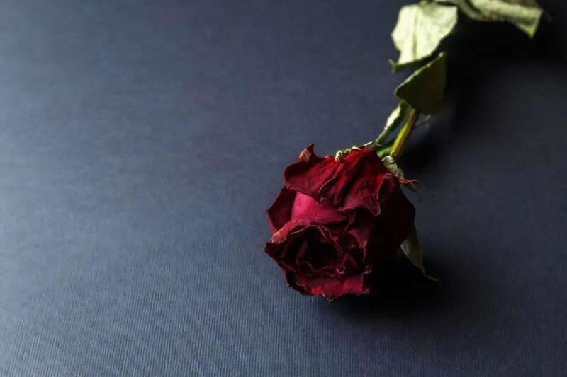 过度劳累!每一次熬夜,其实都是在消耗身体的气血(组图)