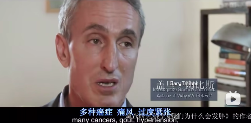 研究显示:面包燕麦酸奶...长期吃这类食物会变胖还变傻