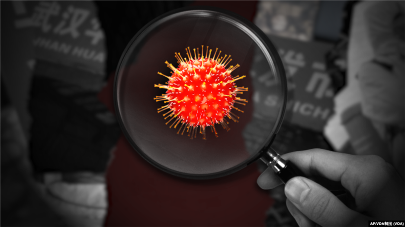 新冠病毒源头依然令世界关注 英前首相:来自中国实验室