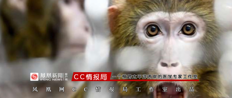 美国实验猴出逃!此前中国限制对美出口,为何重要?(图)