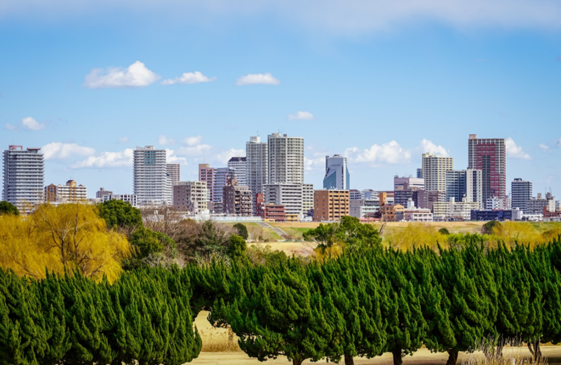 曾经落寞的日本风俗街 中国人一来 就给盘活了!(图)