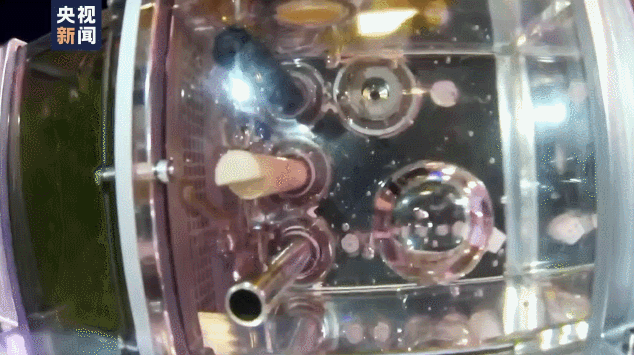 “太空养鱼”后续来了!入住太空20余天 4条斑马鱼良好