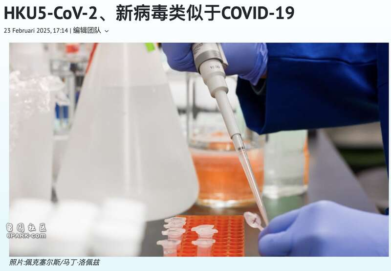 中国发现新的冠状病毒 传染途径类似新冠肺炎(图)