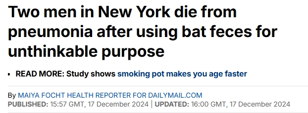 两纽约男子用蝙蝠粪做大麻肥料 吸后死于肺炎(图)