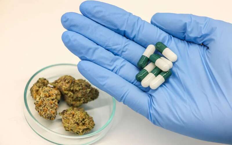 法国医用大麻试验突然终止 患者却痛苦难忍(组图)