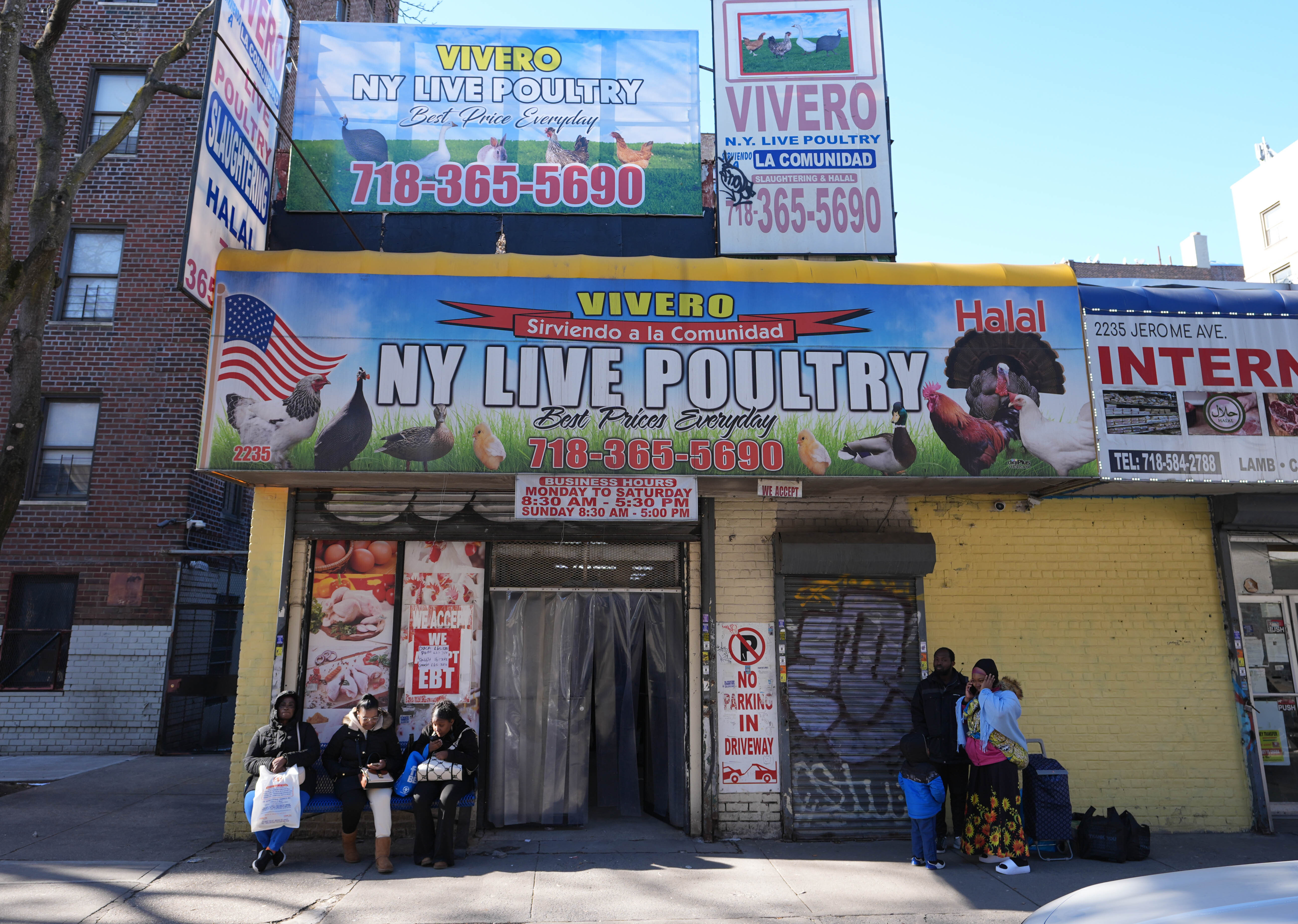 鸟类流感爆发关闭纽约的现场家禽市场