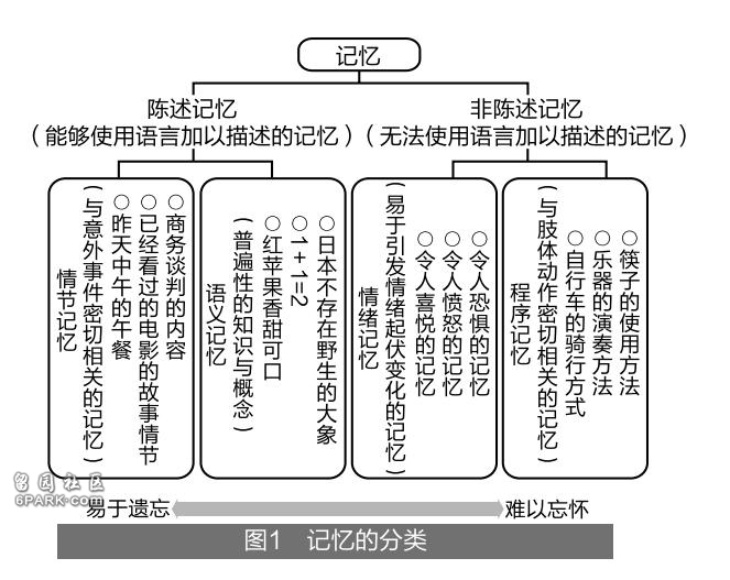 年龄越大越健忘 其实这是大脑在不断进步(图)