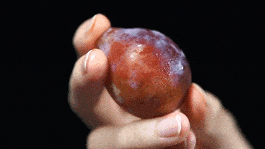 这种食物被称为“便秘终结者”,肠胃不好的人少吃(组图)