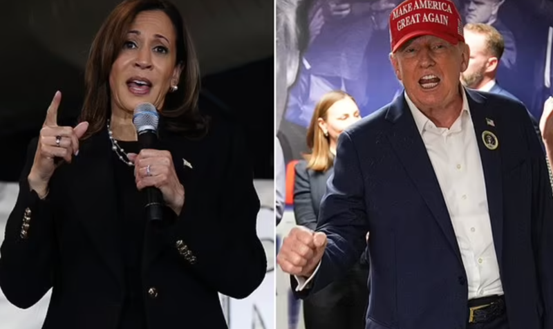 前所未有!美国大选夜告急,华人展现强大选举力量(组图)