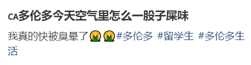 多伦多屎味弥漫!万锦、士嘉堡沦陷!大批华人崩溃(组图)