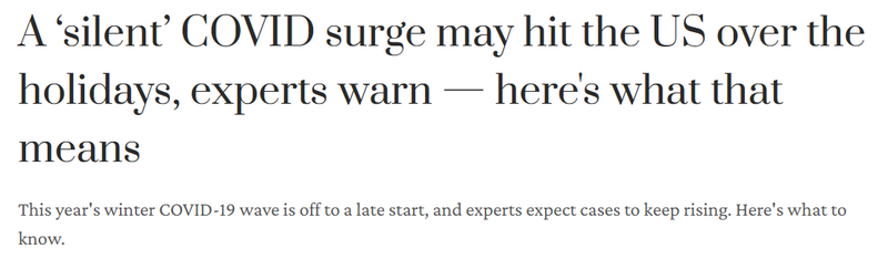 警惕假日季新冠无声传播 专家:第10次感染浪潮开始(图)