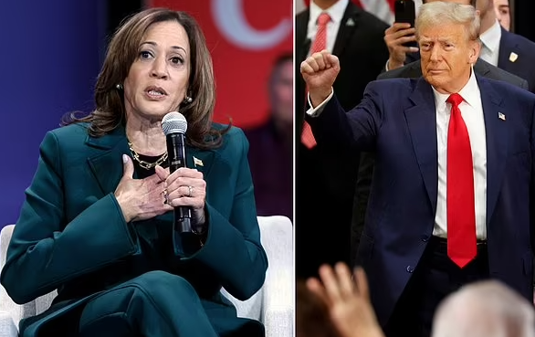 1900万美国人提前投票 三位专家重磅预测 从未失手