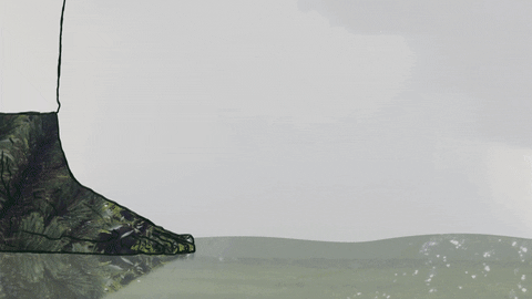 巴黎奥运会新增这一比赛项目!走路快是种健康优势(组图)