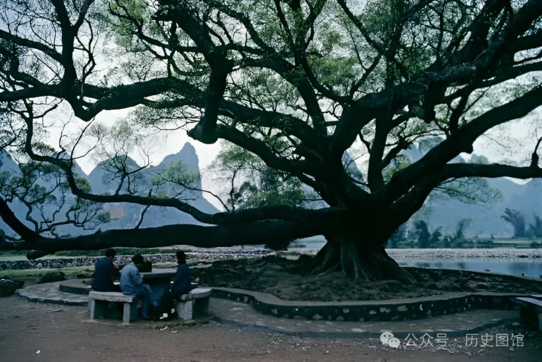 80年代的桂林，居然是这个样子的