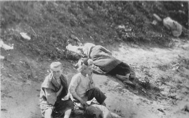 黑土上的尸骸：1933年乌克兰饥荒目击录