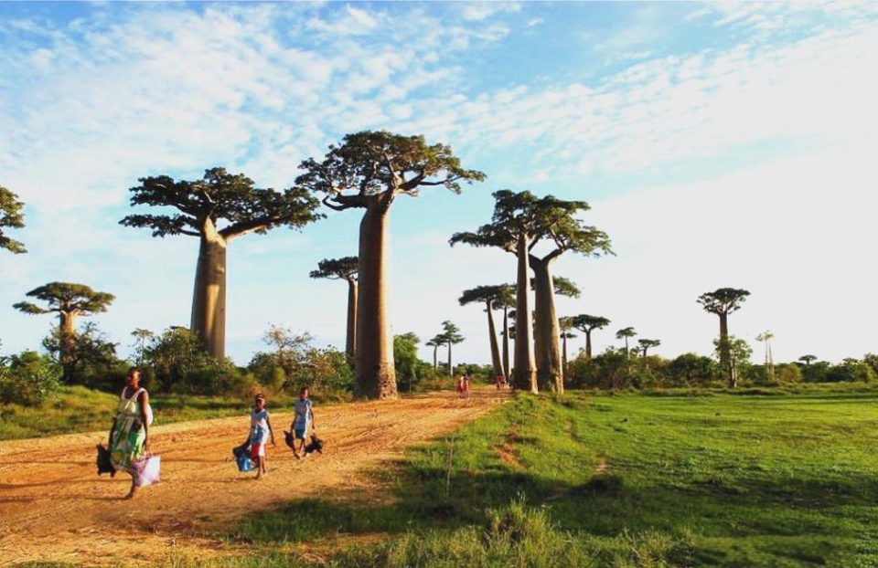 布基纳法索，凭什么把殖民者薅到破产？