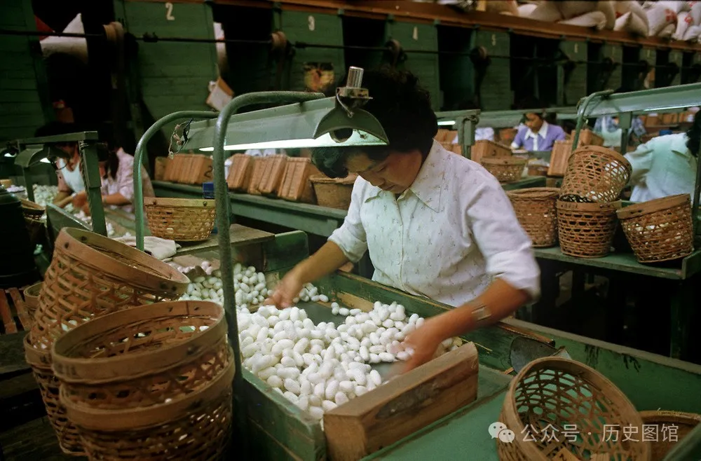 实拍1985年杭州丝绸厂：车间女工年轻漂亮，国营大厂饭菜让人羡慕