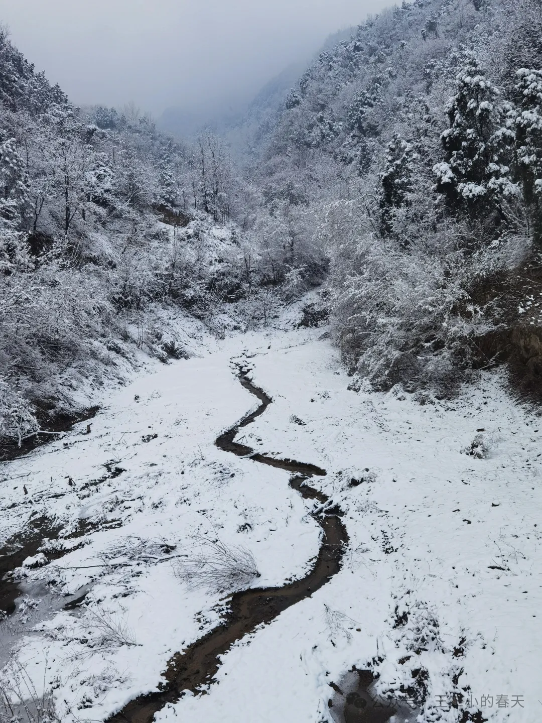 唐朝穷人的冬天：不是取暖，是保命