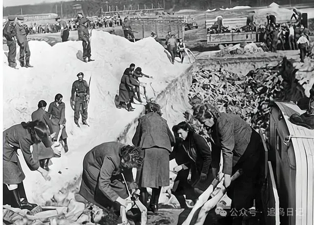 90分钟的会议，决定让1100万人丧命