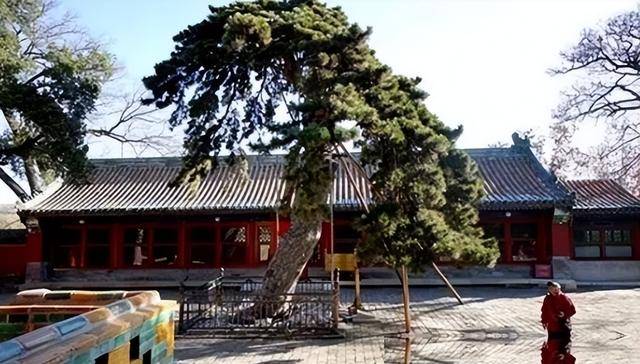憋屈的国宝：七千斤名玉打造，却装了300年咸菜