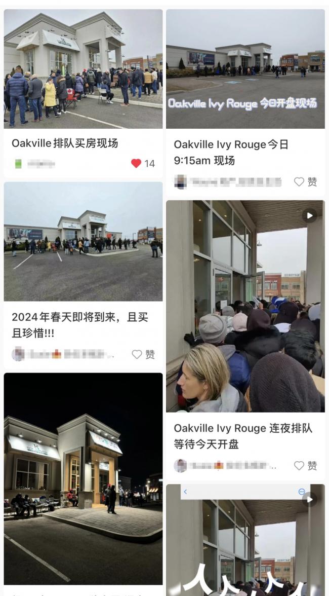 排队抢房半天卖光没开盘就涨价 华人通宵蹲点