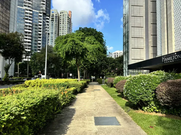 中国顶级富豪都爱移民新加坡？原因找到了