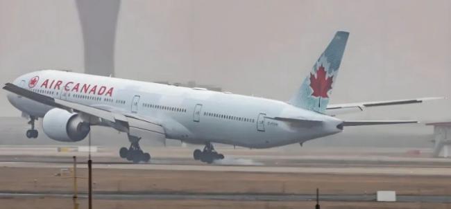 飞往多伦多航班上 这两类家庭为何把孩子送出国