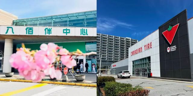 大温华人春节被罚惨了 还被上门追债