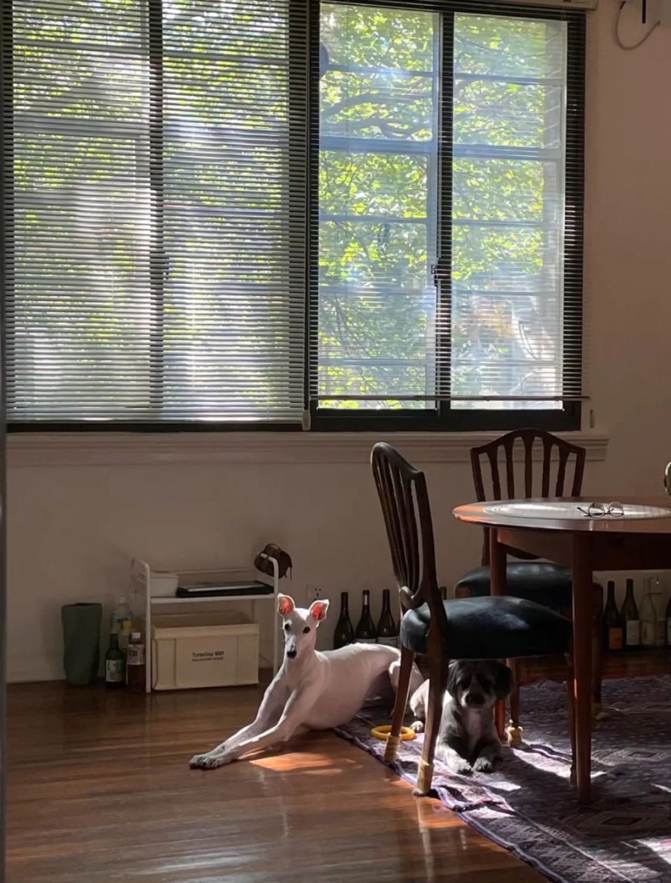 一场豪赌：辞职、卖房、出国