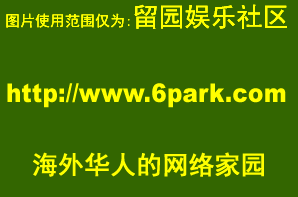 后悔!  “润美”中国人大减 被美国梦忽悠了?