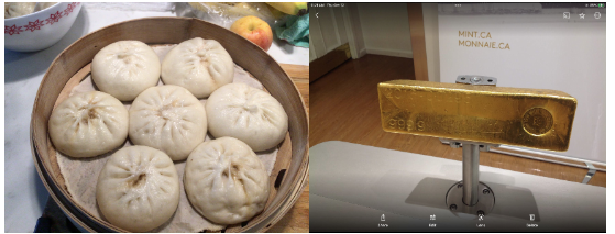 大洋西岸筑豪家，金钱花得似泥沙