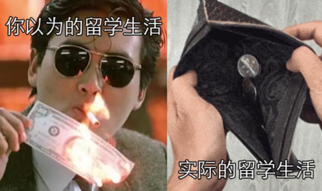 网上背爱马仕追川普儿 现实中买不起两刀的奶茶