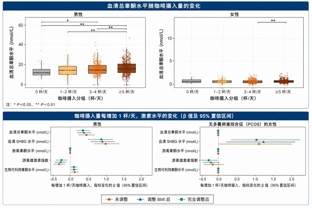 芬兰研究显示：喝咖啡的人脂肪更少、肌肉更多
