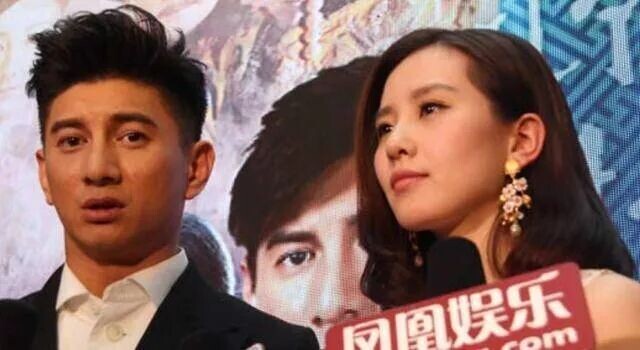 婚变传闻迎来大结局 吴奇隆宣布不再拍戏（配图11）