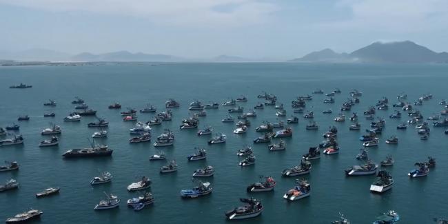 你吃的海鲜背后：水产养殖业的肮脏秘密