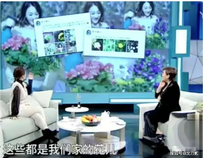 李小冉承认离婚！5个亿宠婚骗局曝光 11年婚姻（配图26）