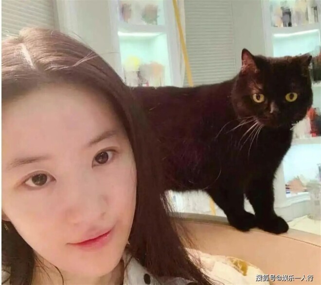刘亦菲三年没戏拍 坚持高片酬吓跑制作方（配图9）