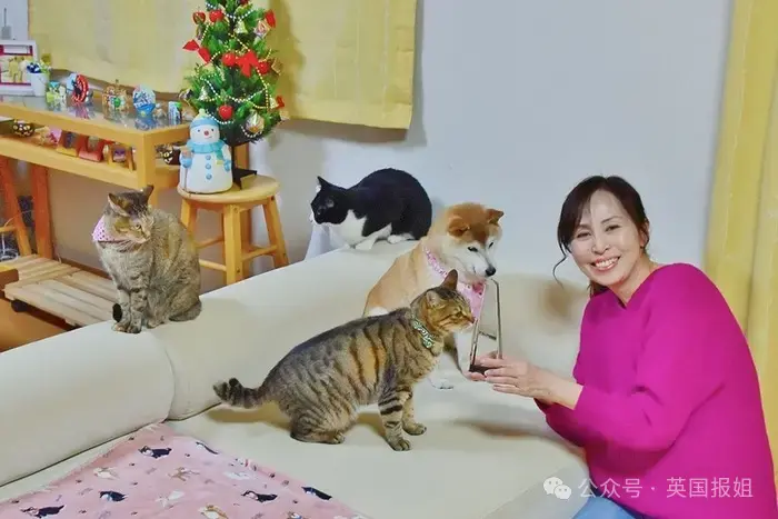 全球最知名狗狗去世！因doge表情包爆火十几年