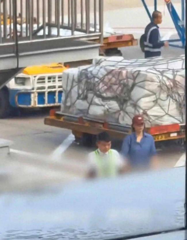 董卿被拒上台，到底冤不冤