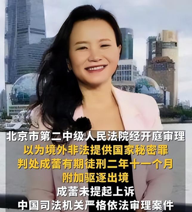 被捕的4位央视主持人 最严重被驱逐出境（配图5）