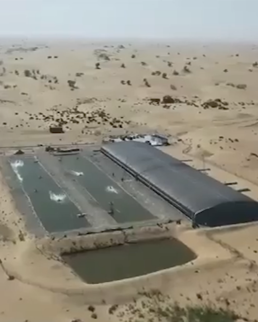 中国是全球最大的养殖海鲜生产国。即使在该国广袤的塔克拉玛干沙漠，养鱼场也随处可见。