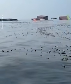 “海面飘满iPhone”画面曝光  渔民嗨翻狂捞