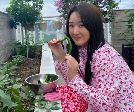 54岁杨钰莹现状：和母亲定居深圳，在豪宅种菜生活惬意，仍未结婚