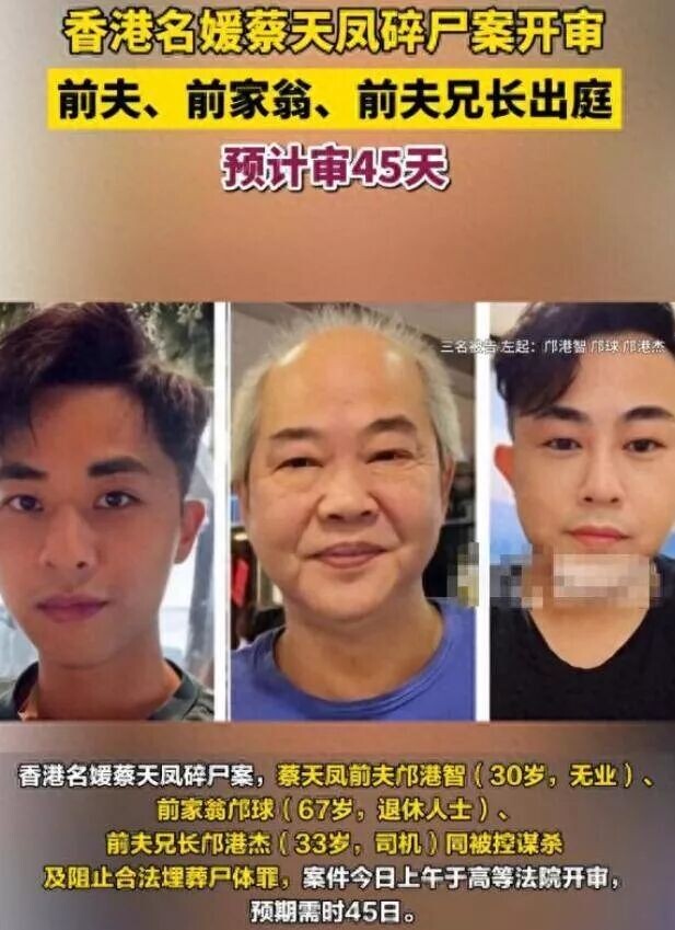 蔡天凤案庭审三凶手法被曝：场面毛骨悚然（配图1）
