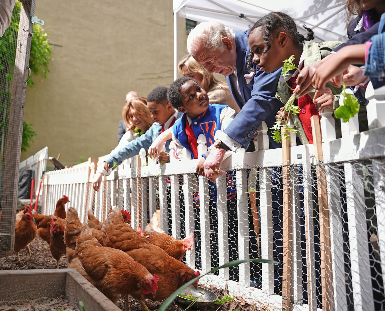 An older man with silver hair wearing a blue suit leans over a white picket fence with several young school children to feed a flock of chickens.