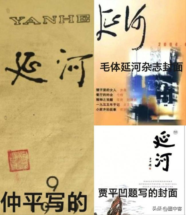 这次栽了：贾平凹公器私用，十年疯狂变现千万