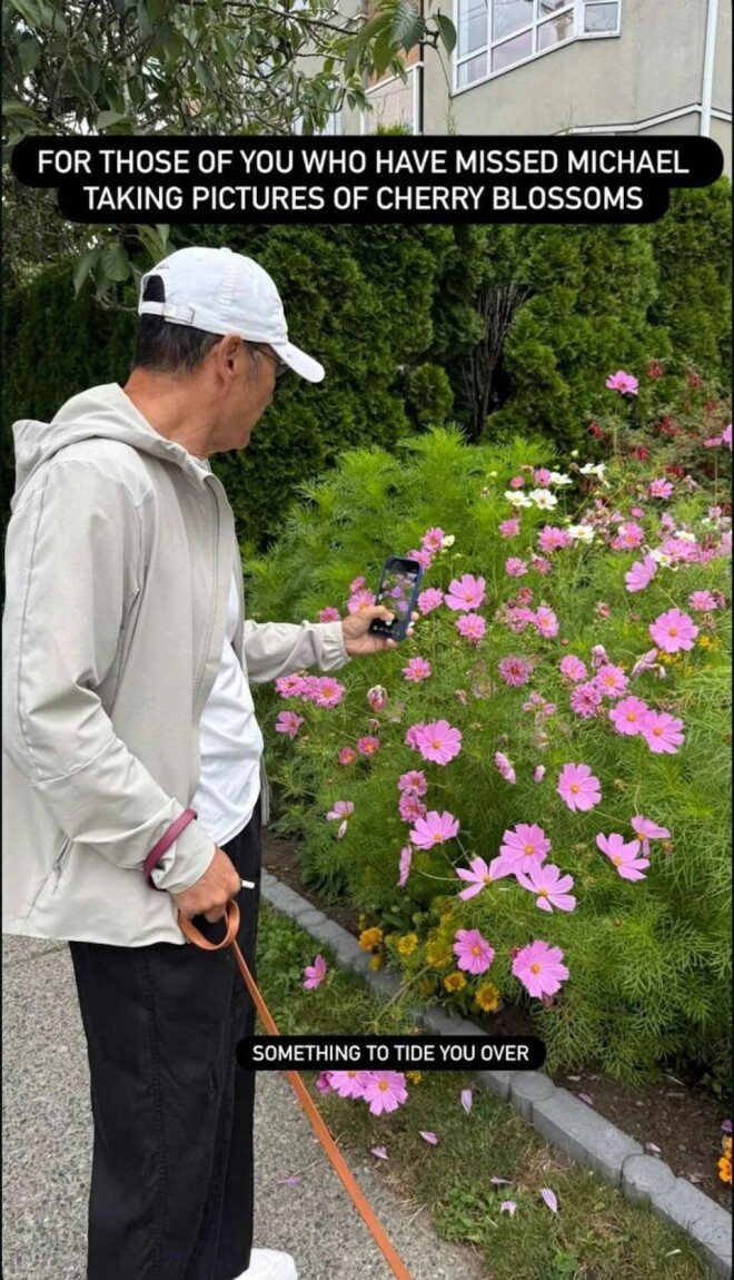 68岁苗侨伟温哥华退休生活曝光 遛狗赏花好惬意（配图2）