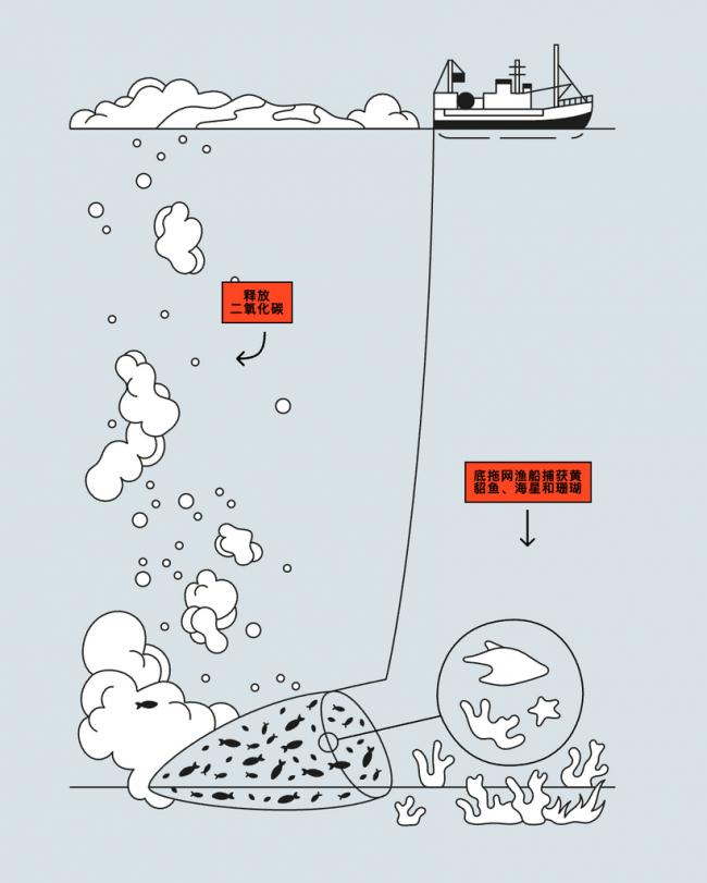 你吃的海鲜背后：水产养殖业的肮脏秘密